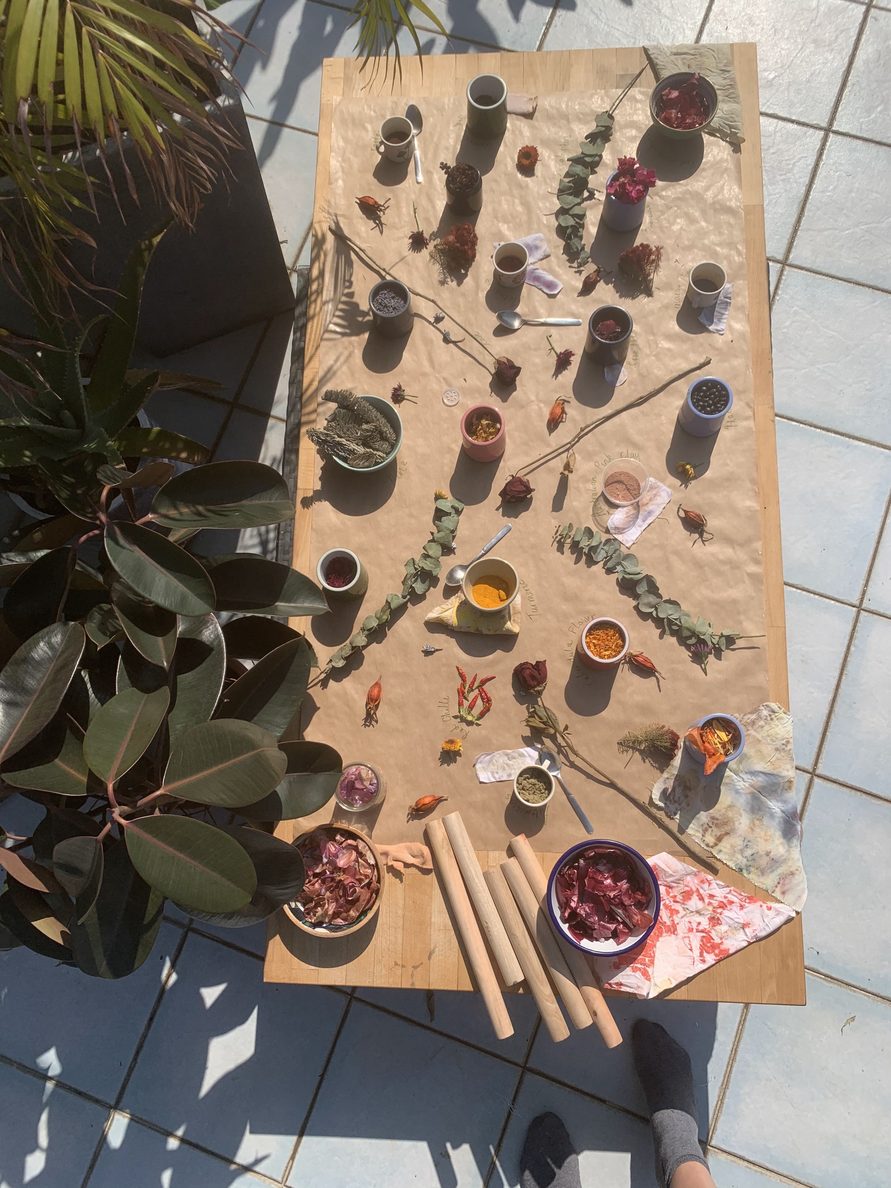 Nature-based learning workshop